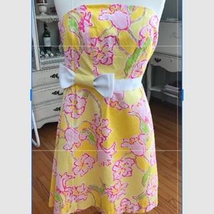 Lilly Pulitzer Amberly Dress